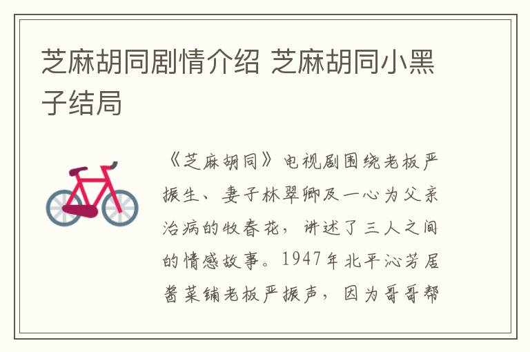 芝麻胡同劇情介紹 芝麻胡同小黑子結(jié)局