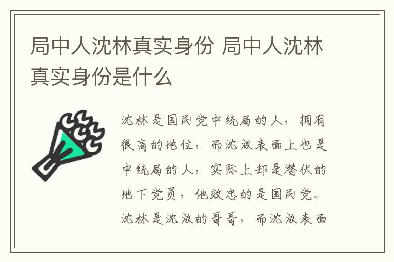 局中人沈林真實身份 局中人沈林真實身份是什么