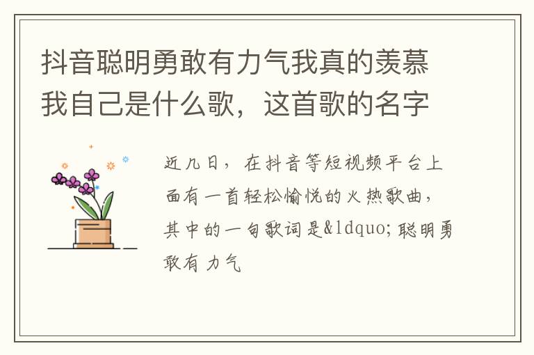 抖音聰明勇敢有力氣我真的羨慕我自己是什么歌，這首歌的名字叫什么？