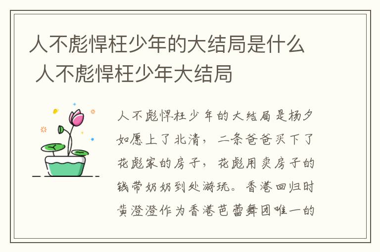 人不彪悍枉少年的大結(jié)局是什么 人不彪悍枉少年大結(jié)局