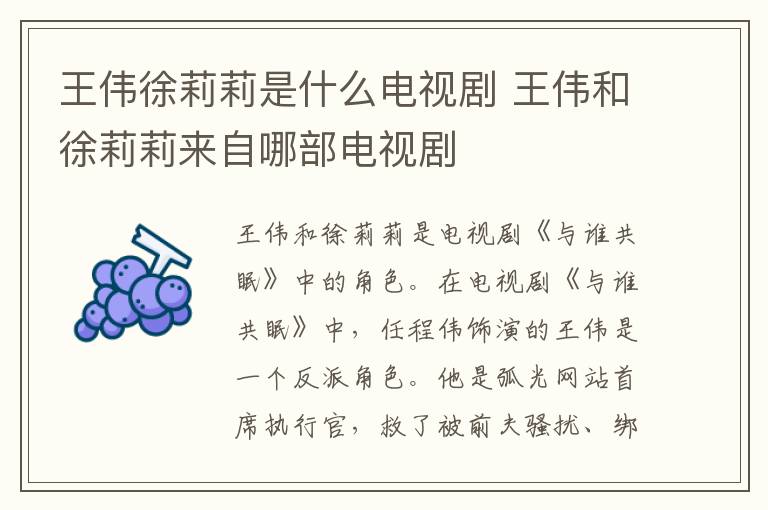 王偉徐莉莉是什么電視劇 王偉和徐莉莉來自哪部電視劇
