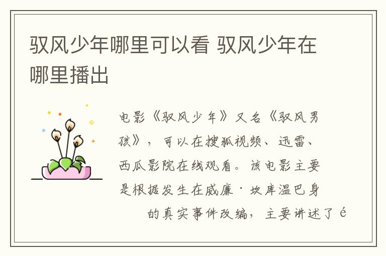 馭風(fēng)少年哪里可以看 馭風(fēng)少年在哪里播出