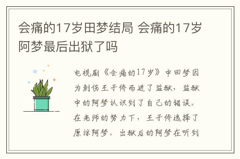 會痛的17歲田夢結局 會痛的17歲阿夢最后出獄了嗎