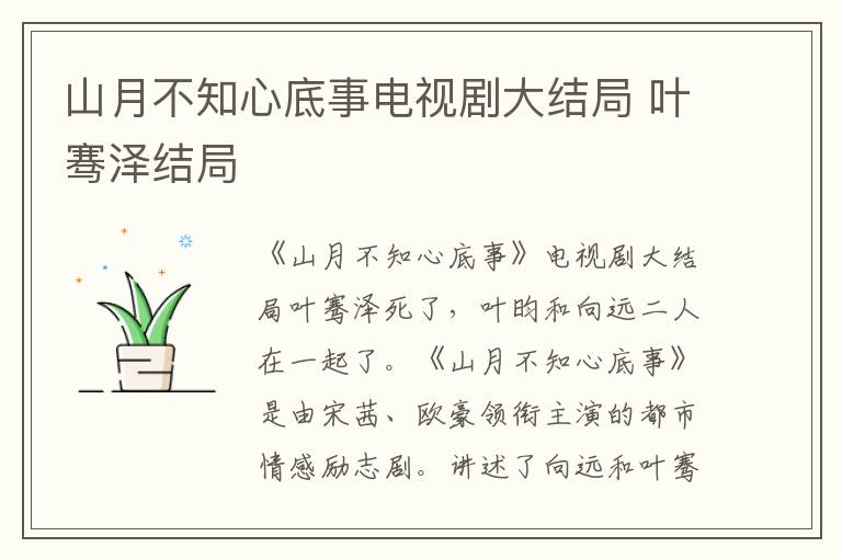 山月不知心底事電視劇大結局 葉騫澤結局