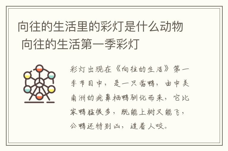 向往的生活里的彩燈是什么動物 向往的生活第一季彩燈