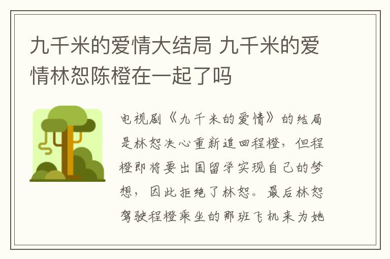 九千米的愛情大結(jié)局 九千米的愛情林恕陳橙在一起了嗎