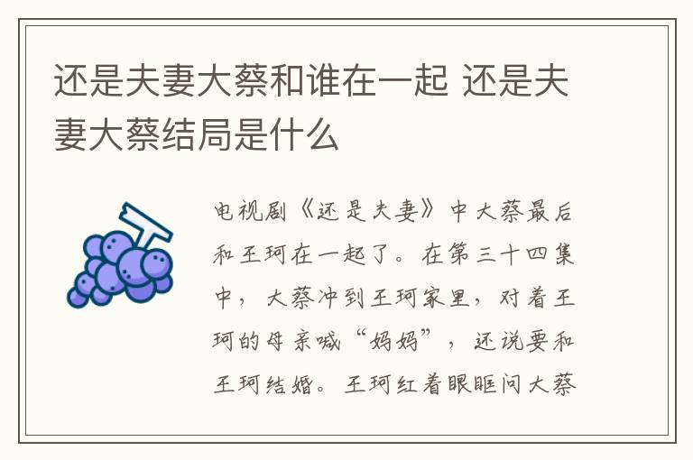 還是夫妻大蔡和誰在一起 還是夫妻大蔡結(jié)局是什么
