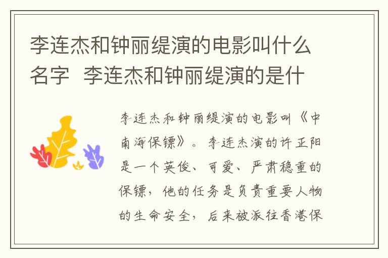 李連杰和鐘麗緹演的電影叫什么名字  李連杰和鐘麗緹演的是什么電影