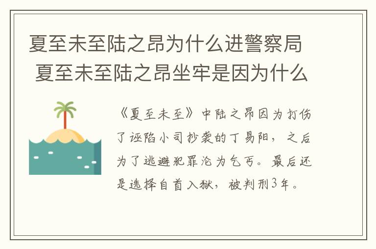 夏至未至陸之昂為什么進(jìn)警察局 夏至未至陸之昂坐牢是因為什么