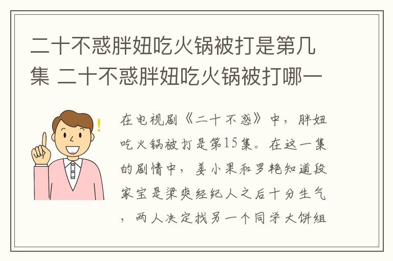二十不惑胖妞吃火鍋被打是第幾集 二十不惑胖妞吃火鍋被打哪一集