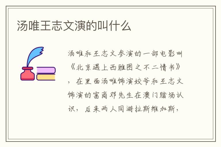 湯唯王志文演的叫什么