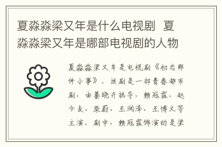 夏淼淼梁又年是什么電視劇  夏淼淼梁又年是哪部電視劇的人物