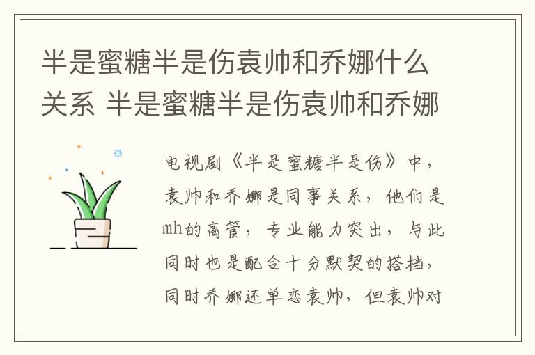 半是蜜糖半是傷袁帥和喬娜什么關系 半是蜜糖半是傷袁帥和喬娜的關系