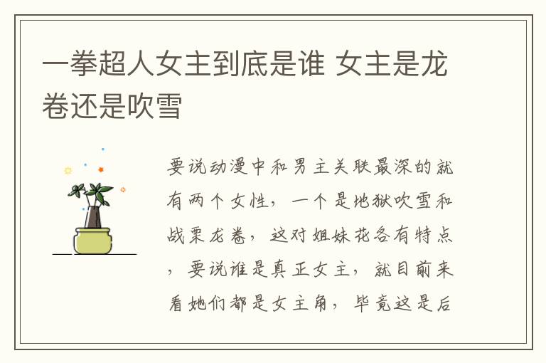 一拳超人女主到底是誰 女主是龍卷還是吹雪