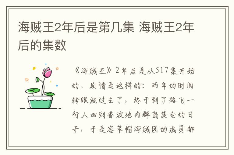 海賊王2年后是第幾集 海賊王2年后的集數(shù)