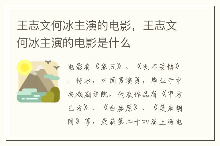 王志文何冰主演的電影，王志文何冰主演的電影是什么