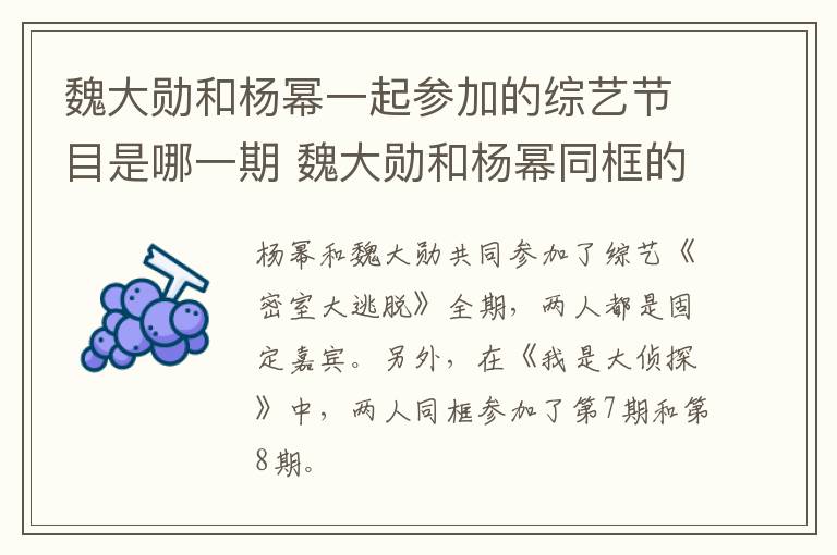 魏大勛和楊冪一起參加的綜藝節(jié)目是哪一期 魏大勛和楊冪同框的綜藝