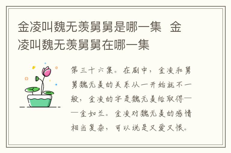 金凌叫魏無羨舅舅是哪一集  金凌叫魏無羨舅舅在哪一集