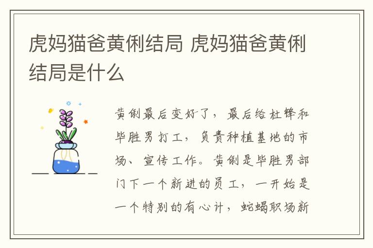 虎媽貓爸黃俐結局 虎媽貓爸黃俐結局是什么