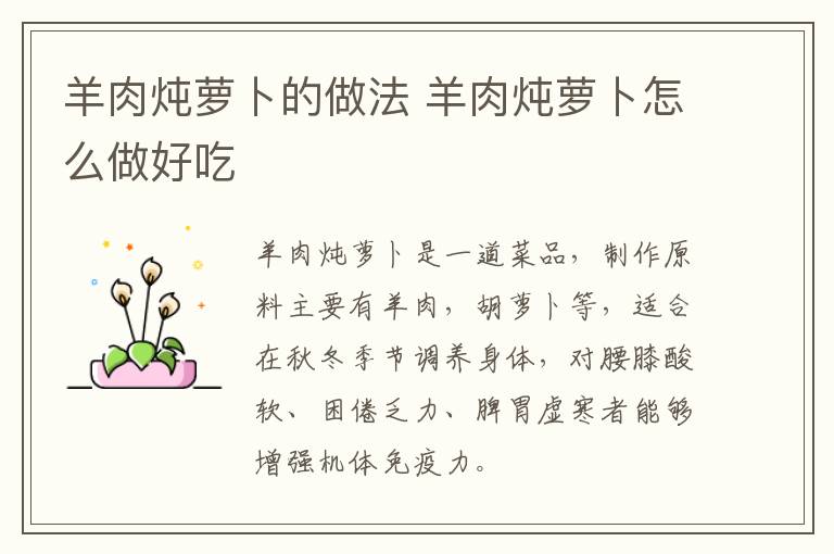羊肉燉蘿卜的做法 羊肉燉蘿卜怎么做好吃
