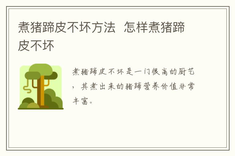 煮豬蹄皮不壞方法  怎樣煮豬蹄皮不壞