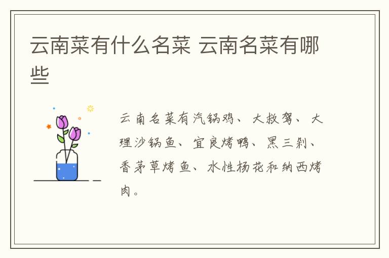 云南菜有什么名菜 云南名菜有哪些