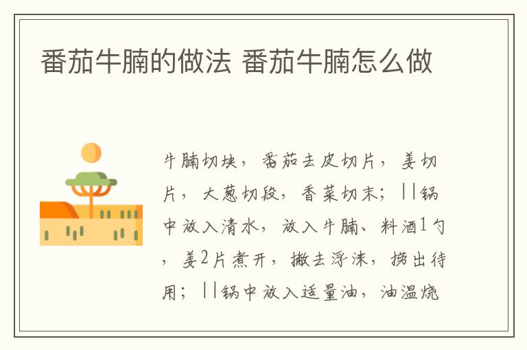 番茄牛腩的做法 番茄牛腩怎么做