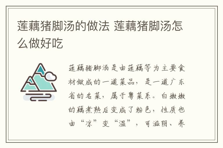 蓮藕豬腳湯的做法 蓮藕豬腳湯怎么做好吃