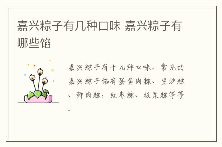 嘉興粽子有幾種口味 嘉興粽子有哪些餡
