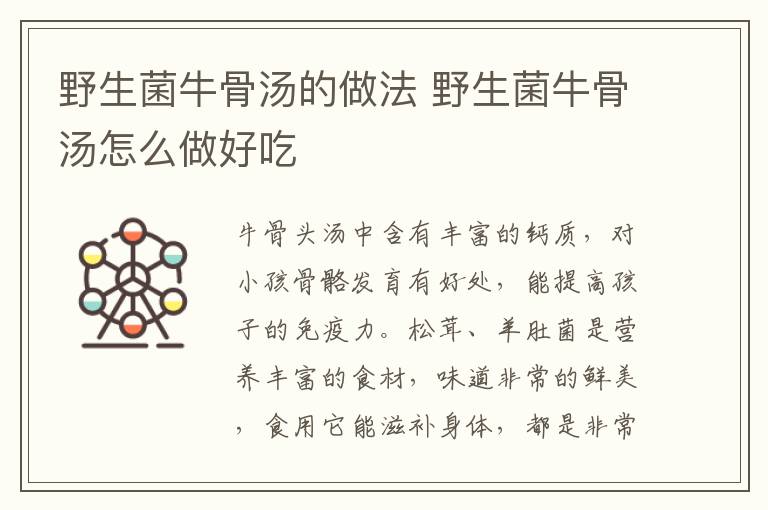 野生菌牛骨湯的做法 野生菌牛骨湯怎么做好吃