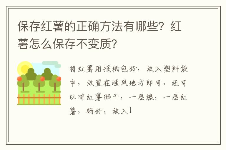 保存紅薯的正確方法有哪些？紅薯怎么保存不變質(zhì)？