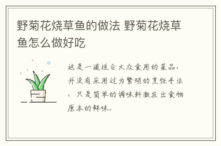 野菊花燒草魚的做法 野菊花燒草魚怎么做好吃