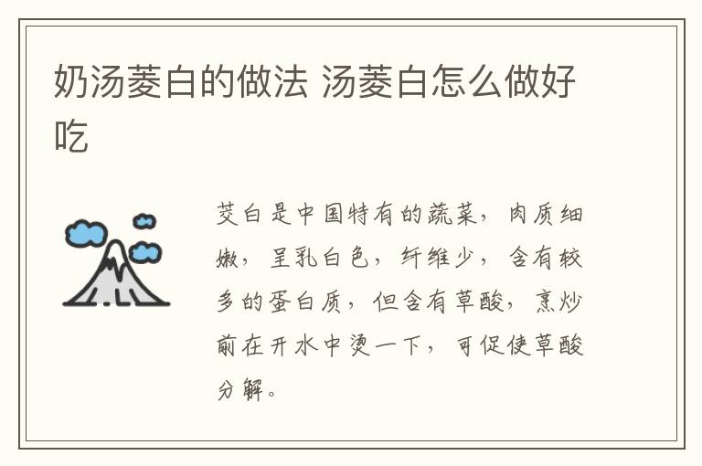 奶湯菱白的做法 湯菱白怎么做好吃