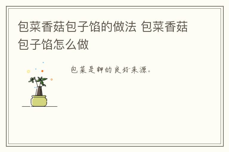 包菜香菇包子餡的做法 包菜香菇包子餡怎么做
