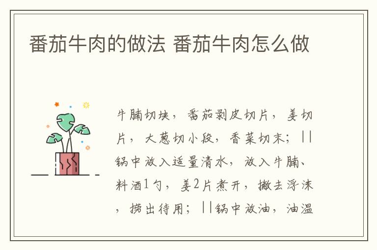 番茄牛肉的做法 番茄牛肉怎么做