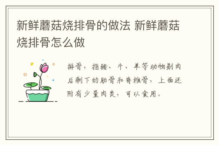新鮮蘑菇燒排骨的做法 新鮮蘑菇燒排骨怎么做