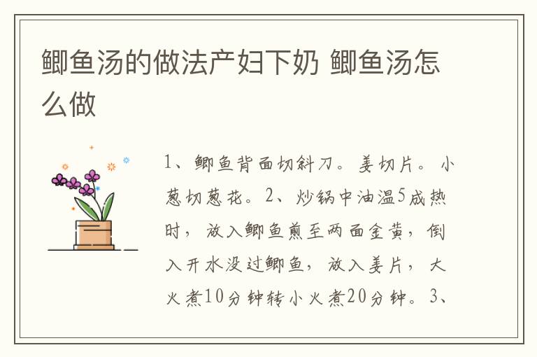 鯽魚湯的做法產(chǎn)婦下奶 鯽魚湯怎么做