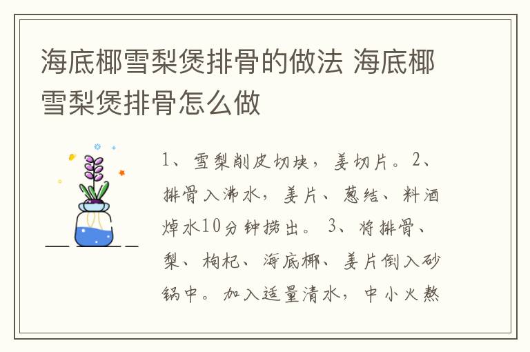 海底椰雪梨煲排骨的做法 海底椰雪梨煲排骨怎么做