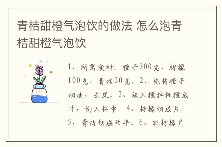 青桔甜橙氣泡飲的做法 怎么泡青桔甜橙氣泡飲