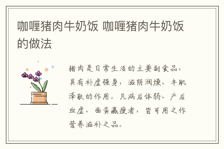 咖喱豬肉牛奶飯 咖喱豬肉牛奶飯的做法