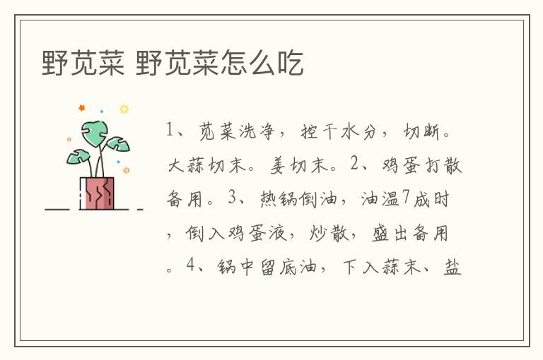 野莧菜 野莧菜怎么吃
