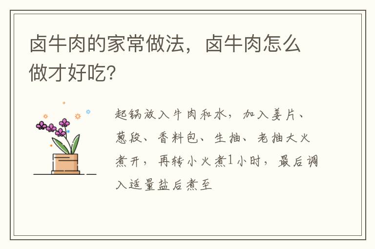 鹵牛肉的家常做法，鹵牛肉怎么做才好吃？