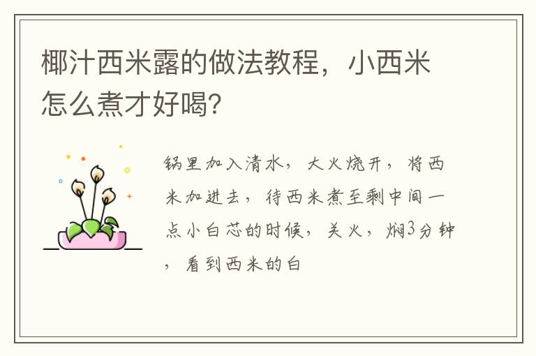 椰汁西米露的做法教程，小西米怎么煮才好喝？