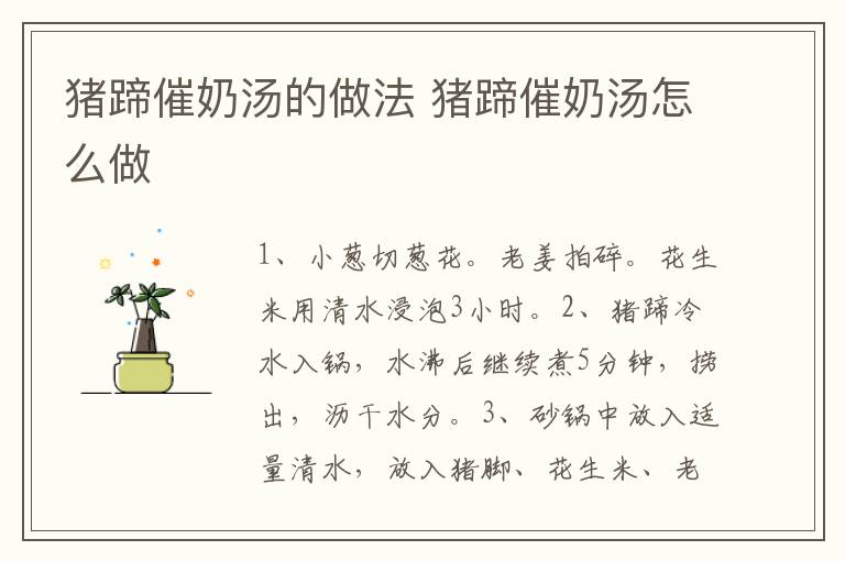 豬蹄催奶湯的做法 豬蹄催奶湯怎么做