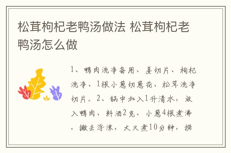 松茸枸杞老鴨湯做法 松茸枸杞老鴨湯怎么做