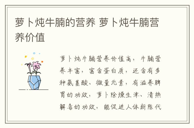 蘿卜燉牛腩的營養(yǎng) 蘿卜燉牛腩營養(yǎng)價值