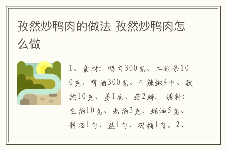 孜然炒鴨肉的做法 孜然炒鴨肉怎么做