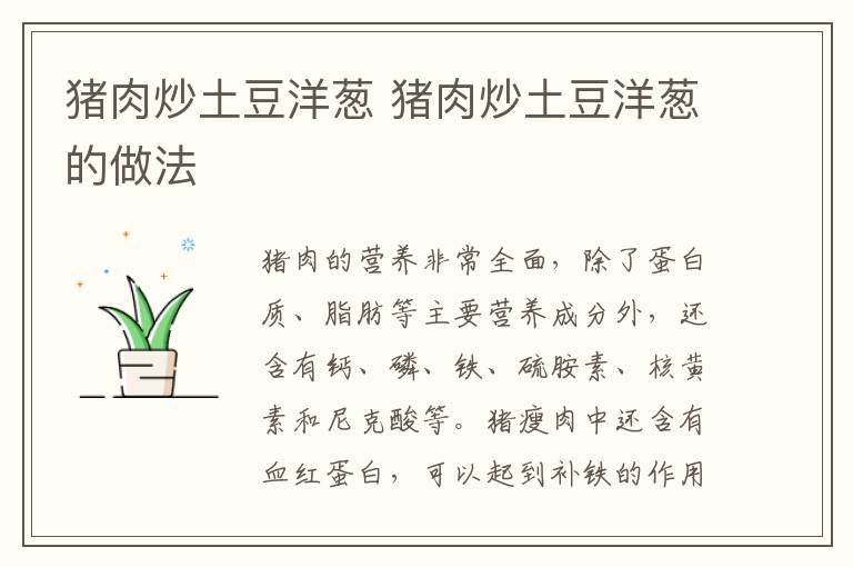 豬肉炒土豆洋蔥 豬肉炒土豆洋蔥的做法