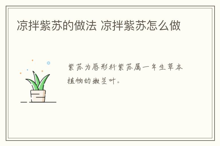 涼拌紫蘇的做法 涼拌紫蘇怎么做